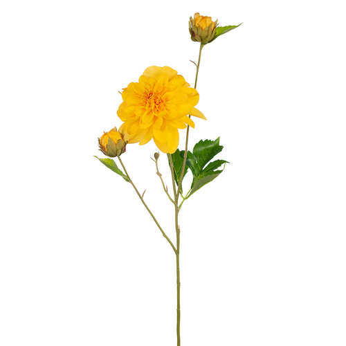 Dahlia Pompom 65cml Yellow #FI8140YE - Each