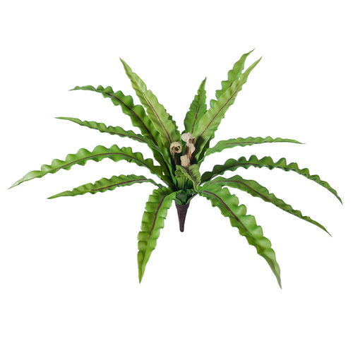 DISC Fern Birds Nest Bush Green 36cml #FI8145GR - Each