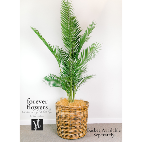 Palm Phoenix Tree Green 145cm #FI8154GR - Each