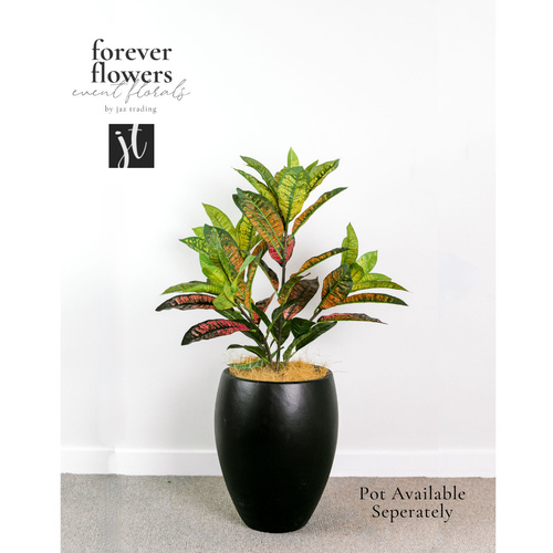 Croton Plant Green Red 63cm #FI8187GRD - Each
