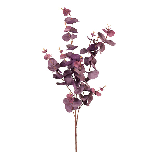 Eucalyptus Silver Dollar Burgundy 92cml #FI8210BU - Each 