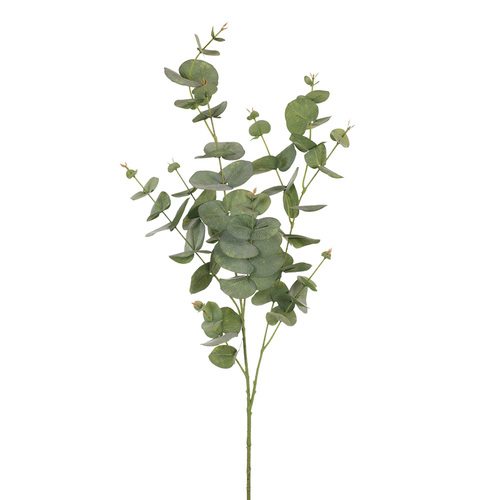 Eucalyptus Silver Dollar Green 92cml #FI8210GR - Each TEMPORARILY UNAVAILABLE