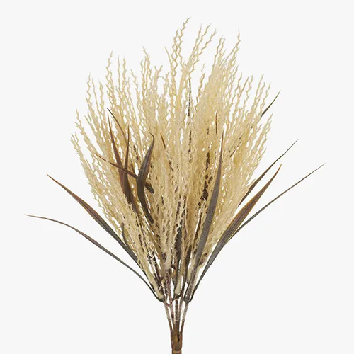 Plume Grass Bush Cream 39cml #FI8213CR - Each