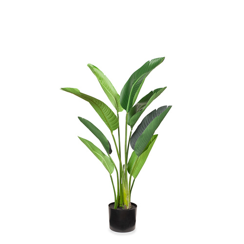 Bird of Paradise Plant Green 122cm #FI8220GR - Each