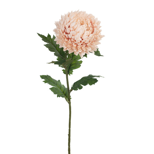 Chrysanthemum Blush 74cml #FI8226BS - Each TEMPORARILY UNAVAILABLE