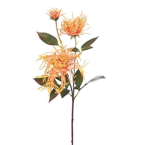 Chrysanthemum Spider Mum Gold 66cml #FI8245GO - Each TEMPORARILY UNAVAILABLE