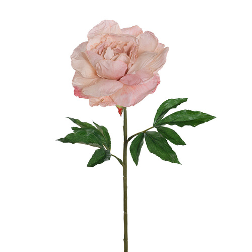 Peony Paper Light Mauve 63cml #FI8246LM - Each TEMPORARILY UNAVAILABLE