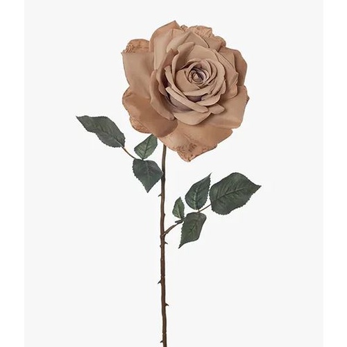  Rose Madonna Coffee 67cm #FI8251CF - Each TEMPORARILY UNAVAILABLE 
