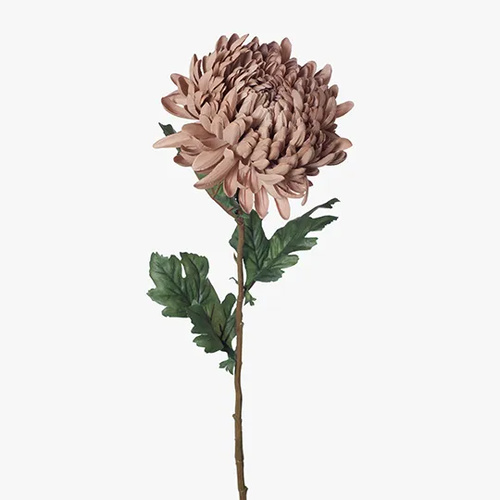 Chrysanthemum Coffee 76cml #FI8252CF - Each TEMPORARILY UNAVAILABLE