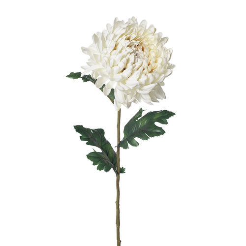 Chrysanthemum Cream 76cml #FI8252CR - Each TEMPORARILY UNAVAILABLE