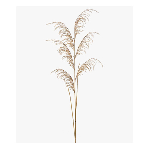 Grass Reed Spray Natural 130cml #FI8254NA - Each 