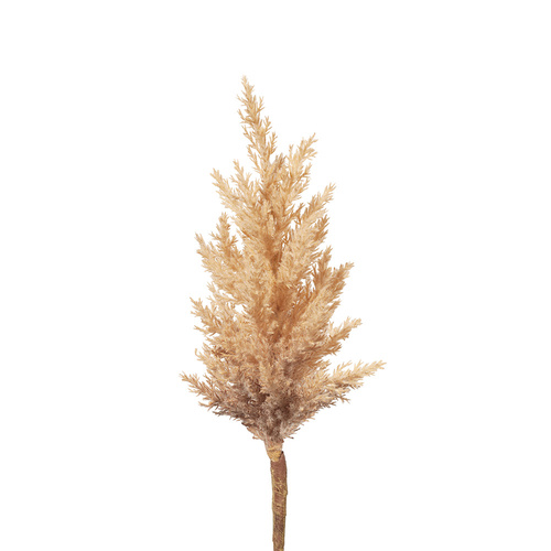 DISC Plume Grass Spray Coffee 83cml #FI8262CF - Each 