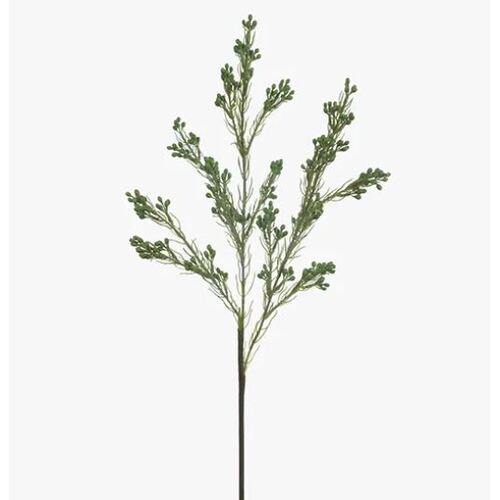 Wax Flower Seed 63cm Long #FI8277GR - Each (Upkgd.)
