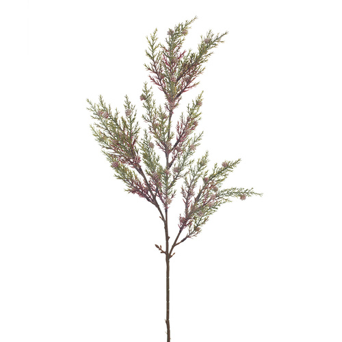 Pine Seed Spray Green Burgundy 64cml #FI8319GBU - Each (Upkgd.)