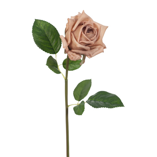 Fresh Touch Rose Lola Coffee #FI8323CF - Each