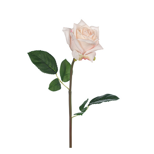 Fresh Touch Rose Lola Champagne #FI8323CH - Each 