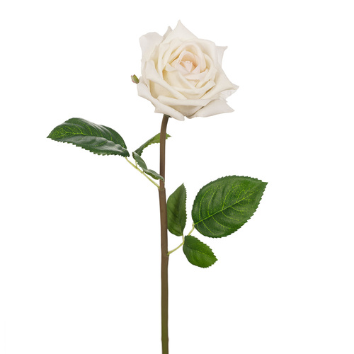 Fresh Touch Rose Lola Ivory #FI8323IV - Each