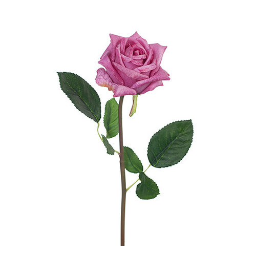 DISC Fresh Touch Rose Lola Mauve #FI8323MV - Each