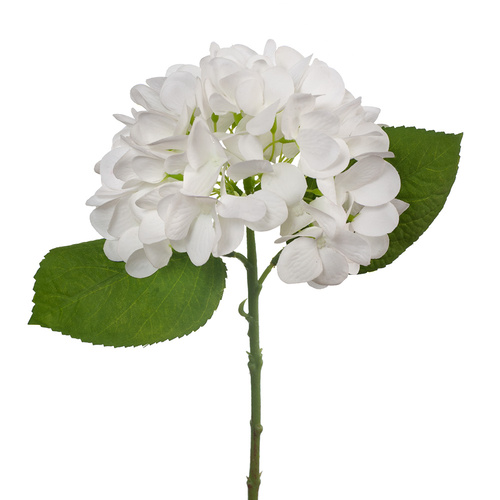 Hydrangea White Fresh Touch 33cml #FI8328WH - Each TEMPORARILY UNAVAILABLE