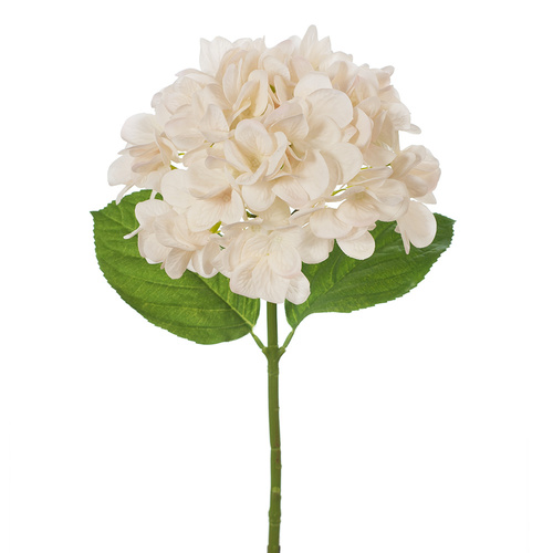 Hydrangea Ivory Fresh Touch 47cml #FI8329IV - Each 
