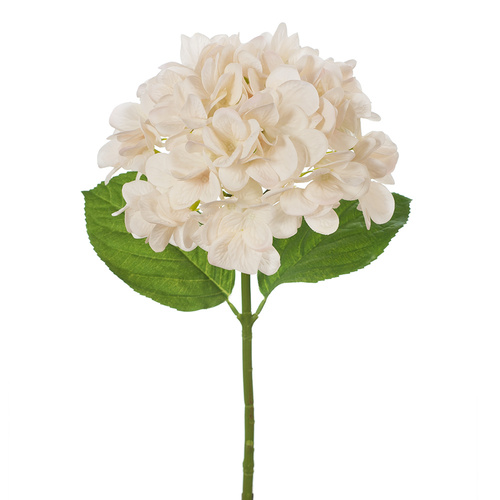 Hydrangea Ivory Fresh Touch 47cml #FI8329IV - Each TEMPORARILY UNAVAILABLE