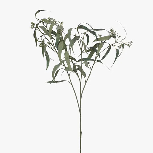  Eucalyptus Leaf & Seed Grey Green 86cml #FI8378GY - Each (Upkgd.) 