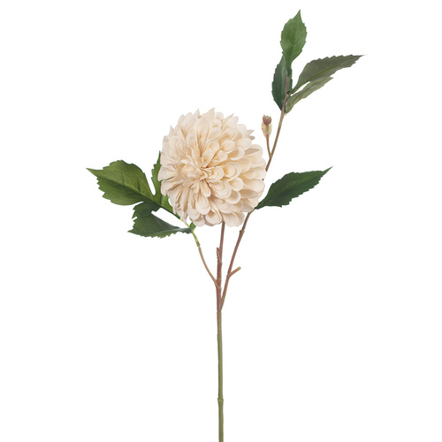 Dahlia Hillcrest Ivory 49cml #FI8385IV - Each TEMPORARILY UNAVAILABLE