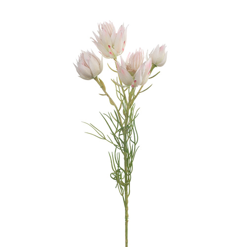 Blushing Bride Spray Cream Pink 53cml #FI8387CP - Each (Upkgd.) TEMPORARILY UNAVAILABLE
