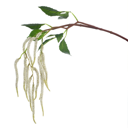 Amaranthus Spray White 88cm #FI8392WH - Each (Unpkgd) TEMPORARILY UNAVAILABLE