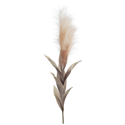 Pampas Grass w/Leaf Blush Pink 113cml #FI8395BS - Each TEMPORARILY UNAVAILABLE