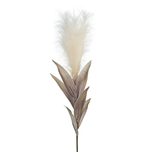 Pampas Grass w/Leaf Cream 113cml #FI8395CR - Each