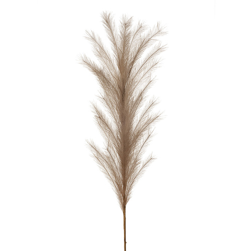 Grass Pampas Spray Coffee 114cml #FI8396CF - Each 