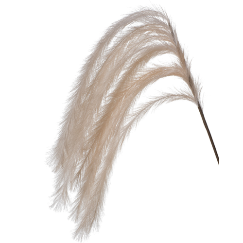 Pampas Grass Hanging Blush Pink 126cm #FI8397BS - Each