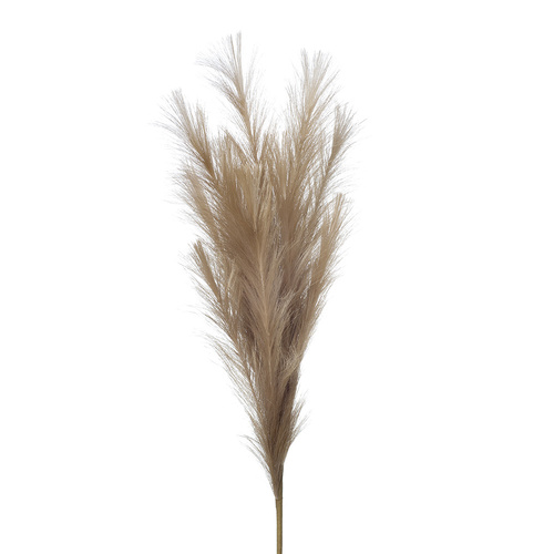 Pampas Grass Spray Coffee 110cml #FI8398CF - Each TEMPORARILY UNAVAILABLE