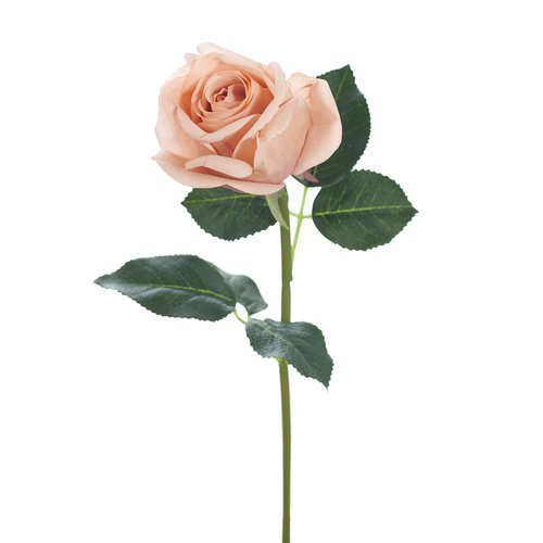 Fresh Touch Rosebud Open Bella Blush 38cml #FI8444BS - Each (Upkgd.) TEMPORARILY UNAVAILABLE
