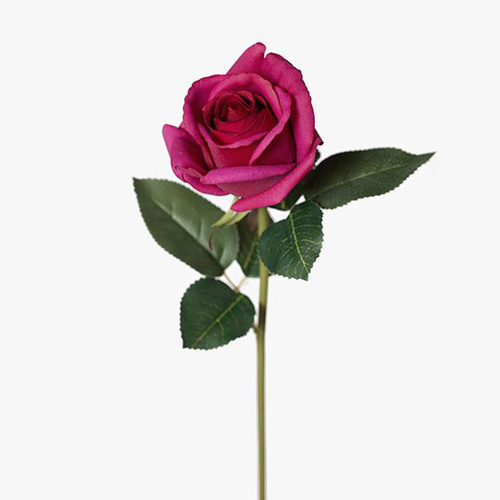 Fresh Touch Rosebud Open Bella Burgundy 38cml #FI8444BU - Each (Upkgd.) 