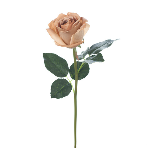 Fresh Touch Rosebud Open Bella Coffee 38cml #FI8444CF - Each (Upkgd.) 