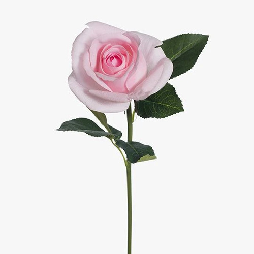 Fresh Touch Rosebud Open Bella Pink 38cml #FI8444PK - Each (Upkgd.)