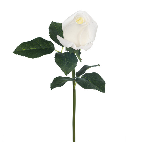 Fresh Touch Rosebud Open Bella White 38cml #FI8444WH - Each (Upkgd.)