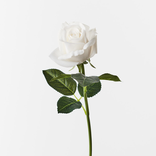Fresh Touch Rosebud Open Bella Winter White 38cml #FI8444WW - Each (Upkgd.)