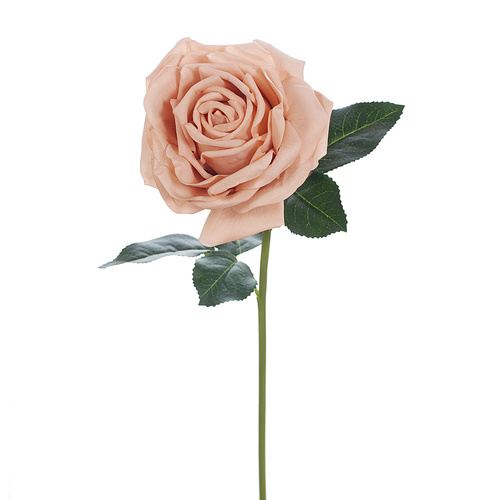 Fresh Touch Rose Bella Blush 37cml #FI8445BS - Each (Upkgd.) 