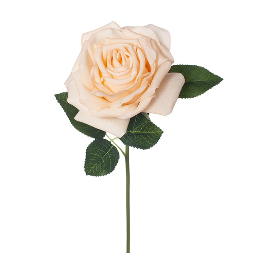 DISC Fresh Touch Rose Bella Butter 37cml #FI8445BT - Each (Upkgd.)