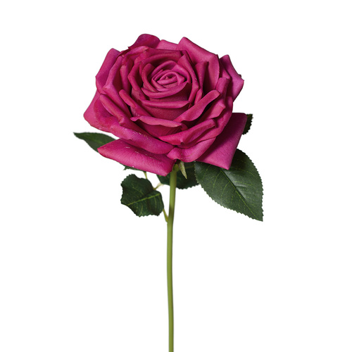 Fresh Touch Rose Bella Burgundy 37cml #FI8445BU - Each (Upkgd.) 