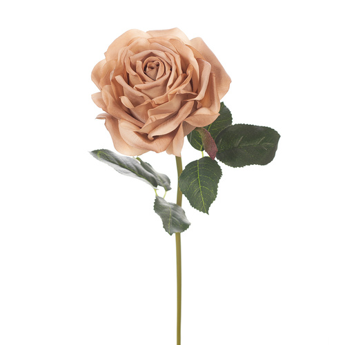 Fresh Touch Rose Bella Coffee 37cml #FI8445CF - Each (Upkgd.)