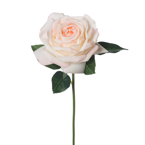 DISC Fresh Touch Rose Bella Cream Pink 37cml #FI8445CP - Each (Upkgd.)