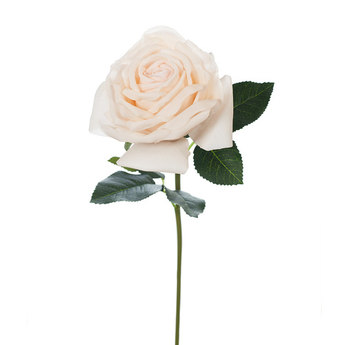 Fresh Touch Rose Bella Ivory 37cml #FI8445IV - Each (Upkgd.) TEMPORARILY UNAVAILABLE