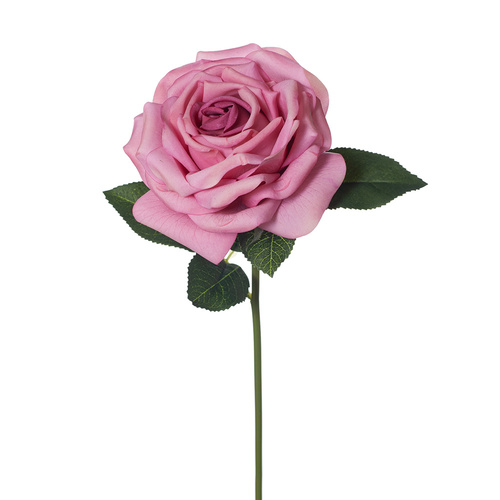 DISC Fresh Touch Rose Bella Mauve 37cml #FI8445MV - Each (Upkgd.)