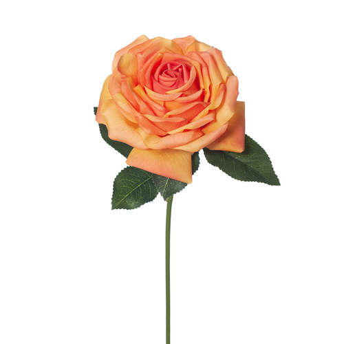 DISC Fresh Touch Rose Bella Orange 37cml #FI8445OR - Each (Upkgd.) 