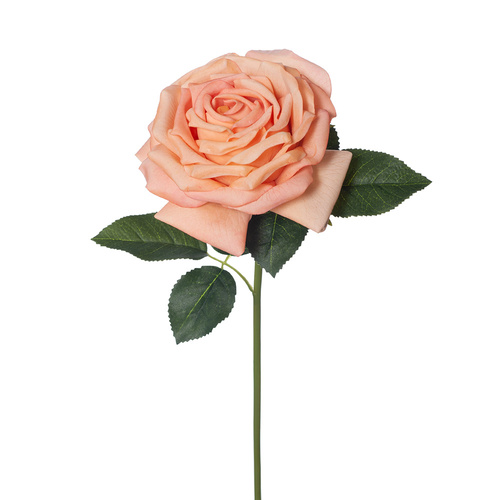Fresh Touch Rose Bella Peach 37cml #FI8445PE - Each (Upkgd.)