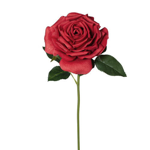 Fresh Touch Rose Bella Red 37cml #FI8445RD - Each (Upkgd.) 